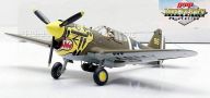 P-40E Warhawk Aleutian Tiger