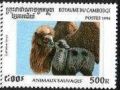 500  .     (camelus ).-  .