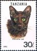 30   -   (felis  silvestris) - ..