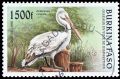 1500   .    (pelecanus ). .