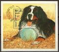 BL 175.   (Berner Sennenhund) 