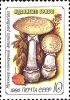 5726.   (Amanita pantherina) / 5724-5728.  .