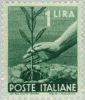 689A. 1 L       / Hand Planting an Olive Tree   / Democracy    