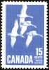 357. 15     (Branta canadensis)    