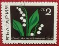 1859.  (Convallaria majalis)  1859-64.   